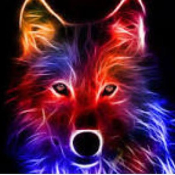 Meet your Posher, Datavious - Picture 1 of 1